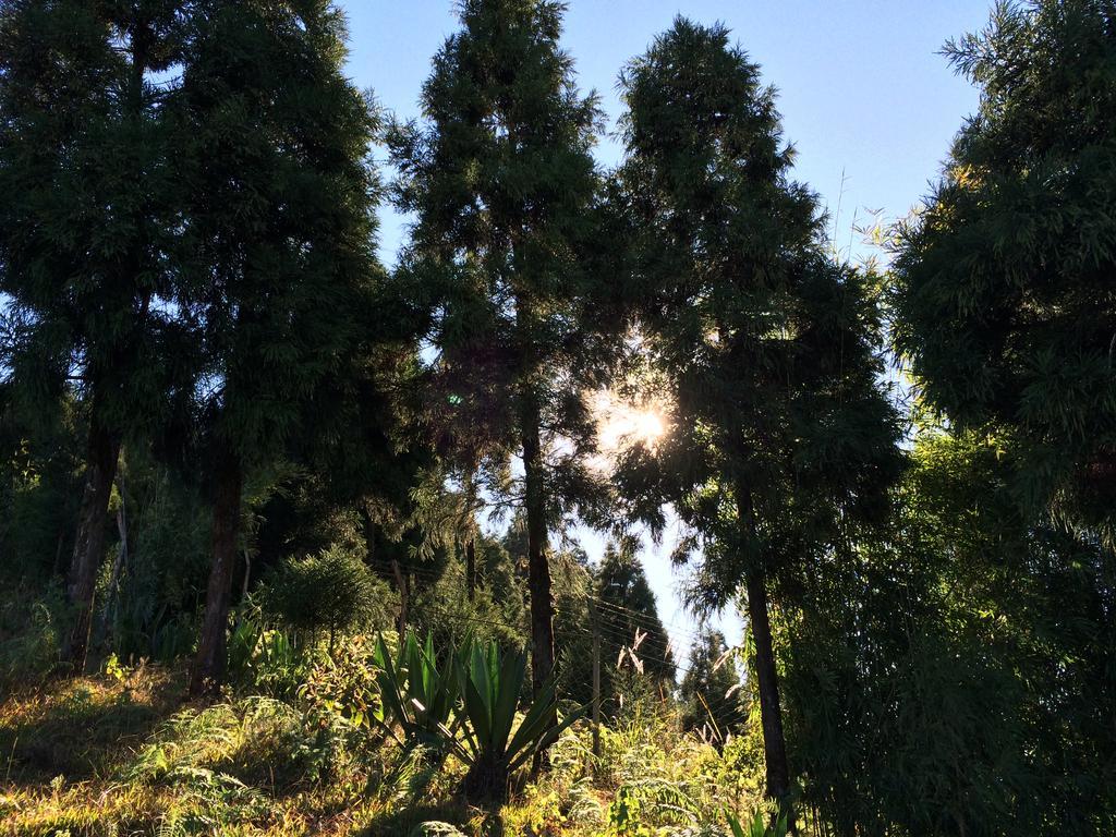Deolo Cliff Eco Resort Kalimpong Εξωτερικό φωτογραφία